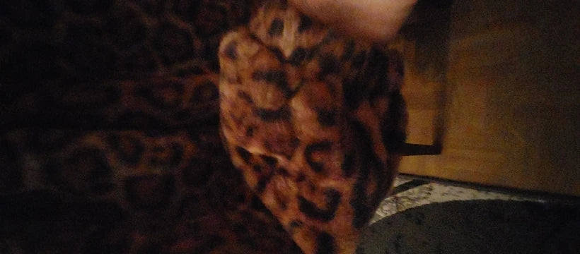 Womens leopard print jacket with single breasted closure and long sleeves, casual loose fit