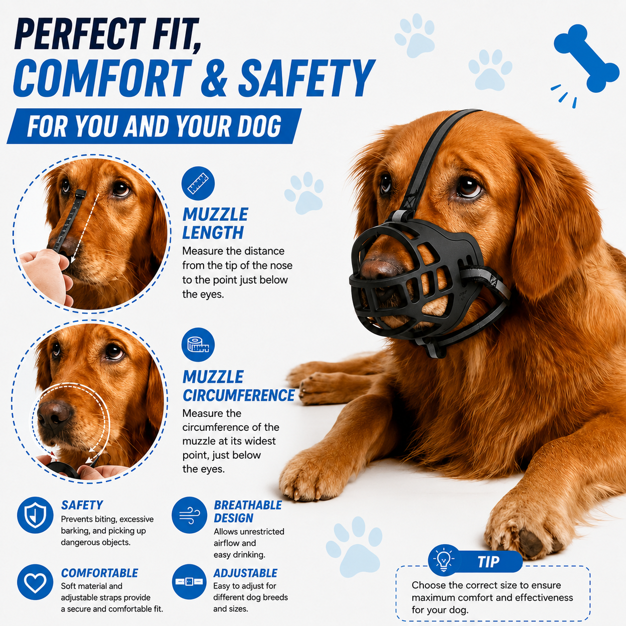 Indra • Dog Muzzle