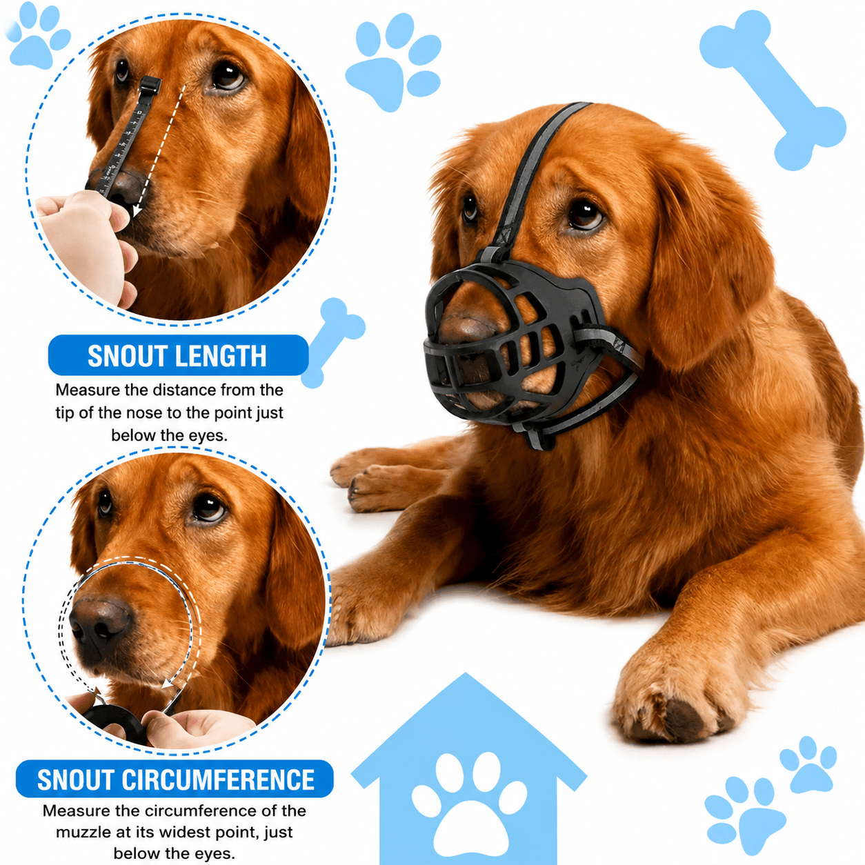 Indra • Dog Muzzle