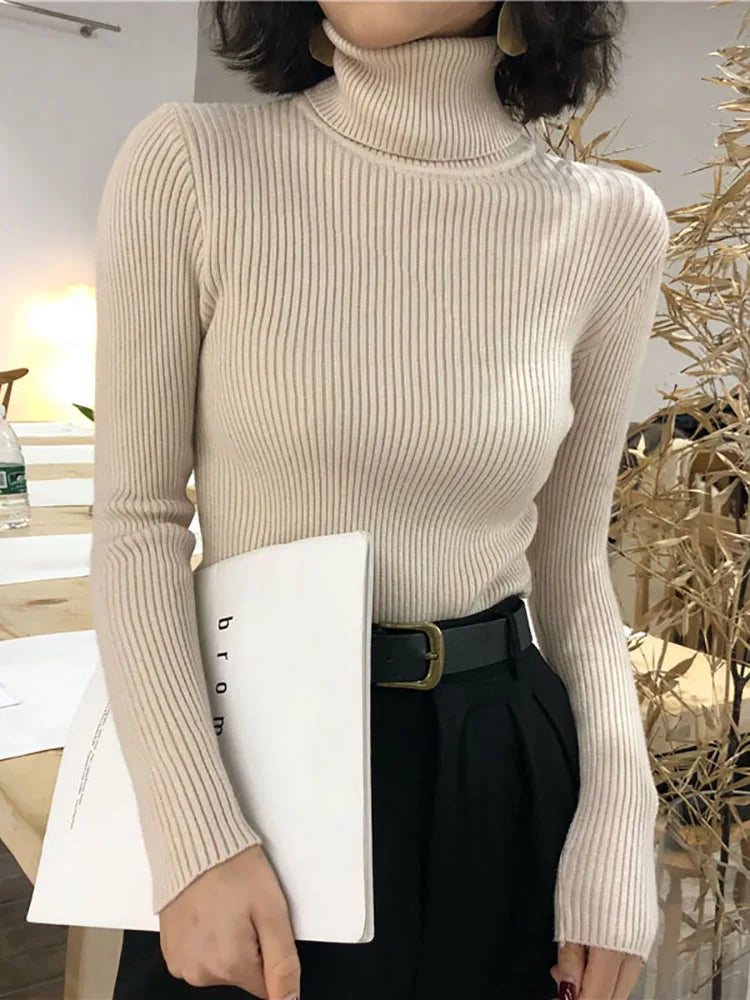 Women's Sweater | Turtleneck, Long Sleeves | Warm Fall Winter