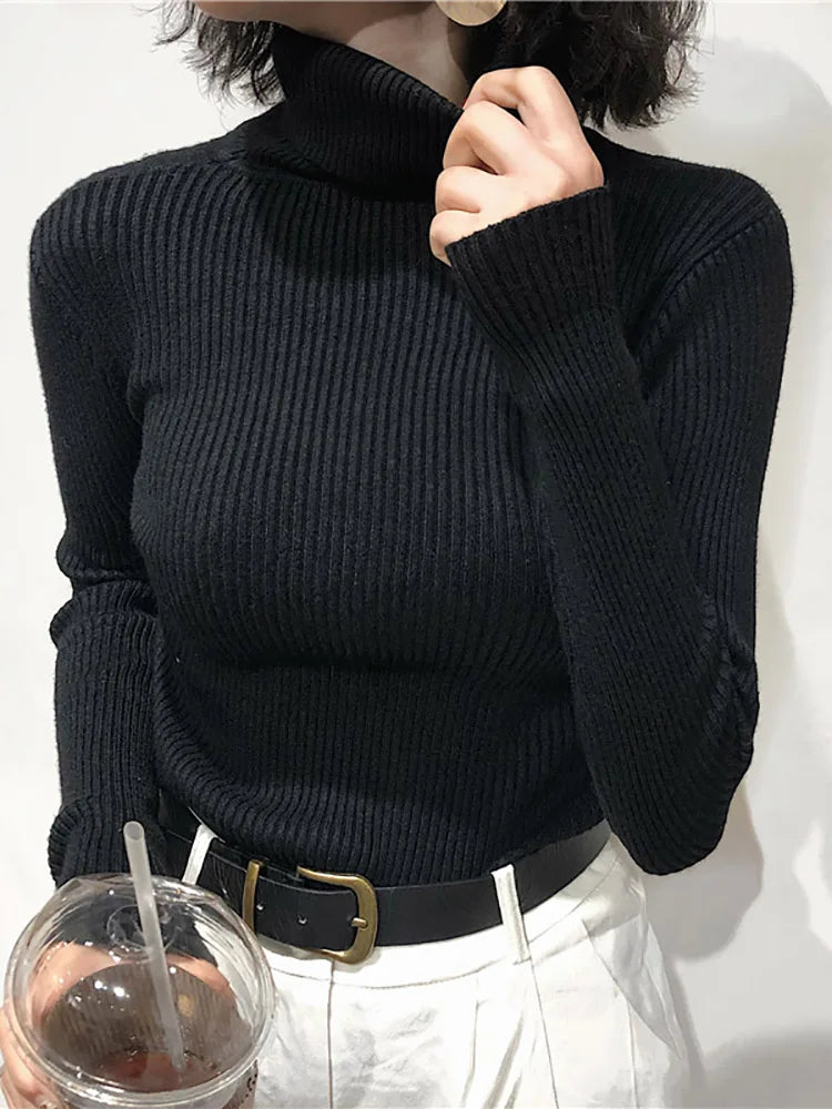 Women's Sweater | Turtleneck, Long Sleeves | Warm Fall Winter