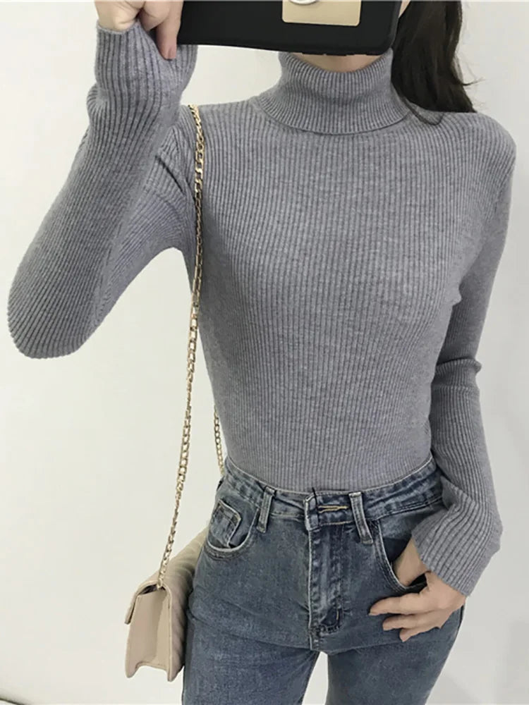 Women's Sweater | Turtleneck, Long Sleeves | Warm Fall Winter