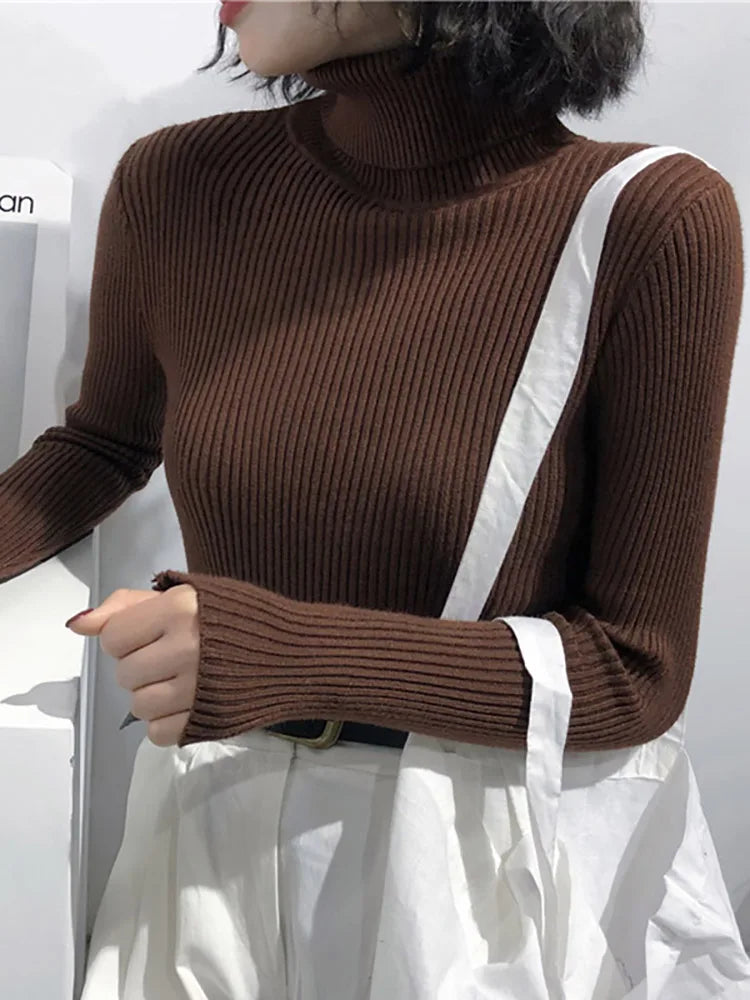 Women's Sweater | Turtleneck, Long Sleeves | Warm Fall Winter